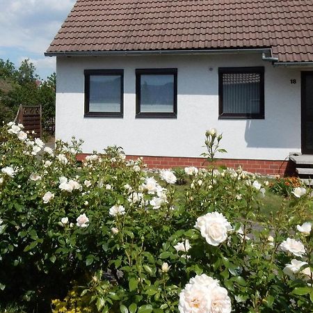 Fewo Am Sassenberg Blankenburg  Exterior photo